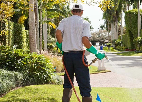 About Shellman GA Pest Control Pros